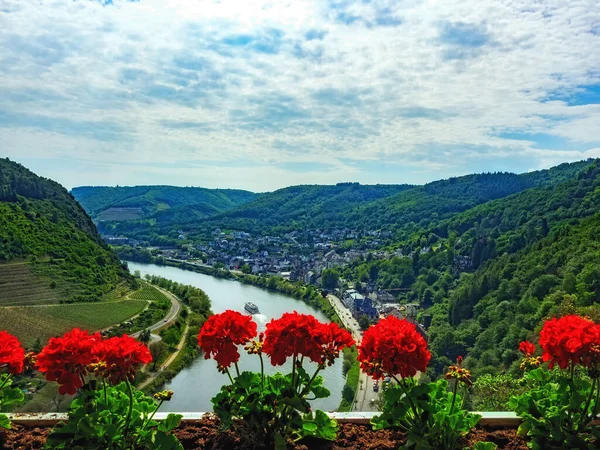 Moselle Deki Cochem Kasabasının Planda Çiçek Açan Sardunyalarıyla Manzarası — Stok fotoğraf