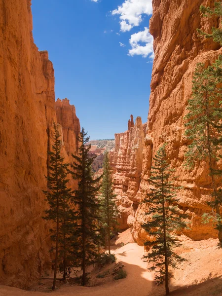 Hiking trail in Bryce Canyon National Park, Utah, United States — Stock Photo, Image