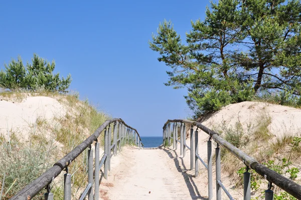 Camino a través de las dunas hacia el mar Báltico — Foto de Stock