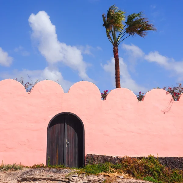Розовая стена с деревянной дверью и пальмой — стоковое фото