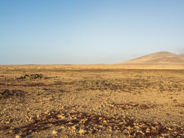 Fuerteventura, Kanarya Adaları tipik peyzaj