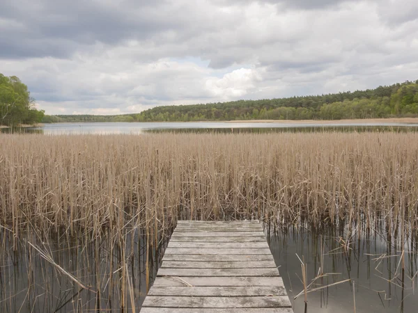 Dřevěné promenádě mezi reed přes jezero — Stock fotografie