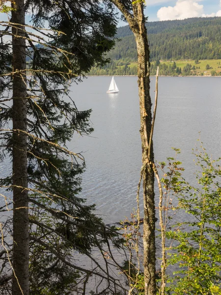 Saling loď na jezeře, obklopen stromy — Stock fotografie