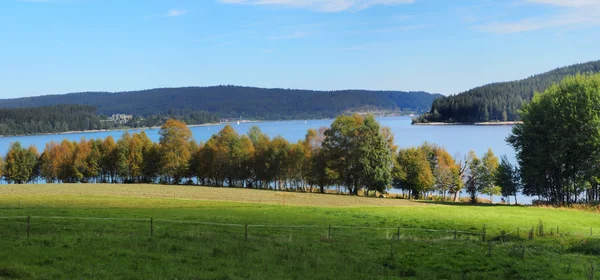 Göl Schluchsee Kara Orman, Almanya için Panorama görünüm