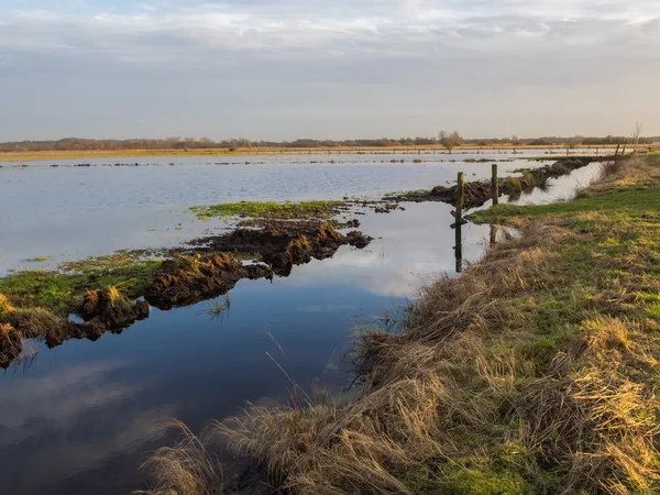 Pântano com prado inundado na Alemanha, Europa — Fotografia de Stock