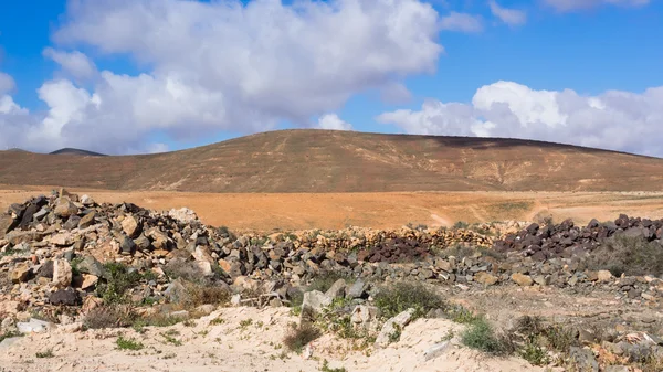 Tipikus táj Fuerteventura, Kanári-szigetek — Stock Fotó