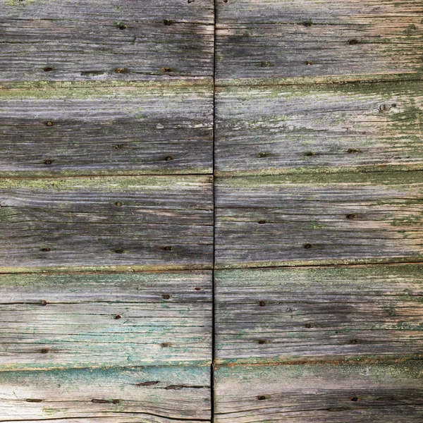 Ahşap arka plan olarak kullanmak için Eski küflü plakalar — Stok fotoğraf