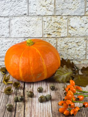 Natürmort sonbaharın tipik meyve ile düşmek Şükran günü