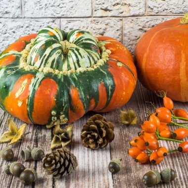 Natürmort sonbaharın tipik meyve ile düşmek Şükran günü