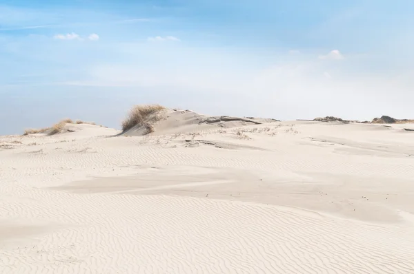 Paisaje con dunas de arena en la isla Norderney, Alemania — Foto de Stock