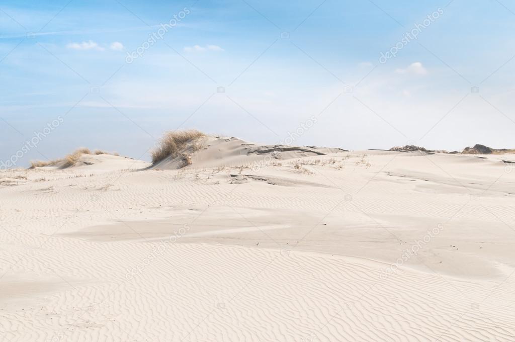 Landscape with sand dunes on the island Norderney, Germany
