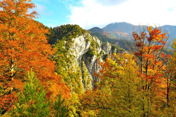 Dobrca peak and a cliff in Karavanke mountains, Gorenjska, Slovenia and beech trees with orange autumn foliage
