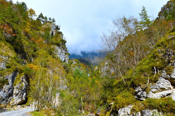 View of Draga valley in Karavanke , Gorenjska, Slovenia