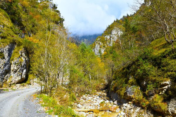 Creek and a gravel road in Draga valley in Karavanke, Gorenjska, Slovenia