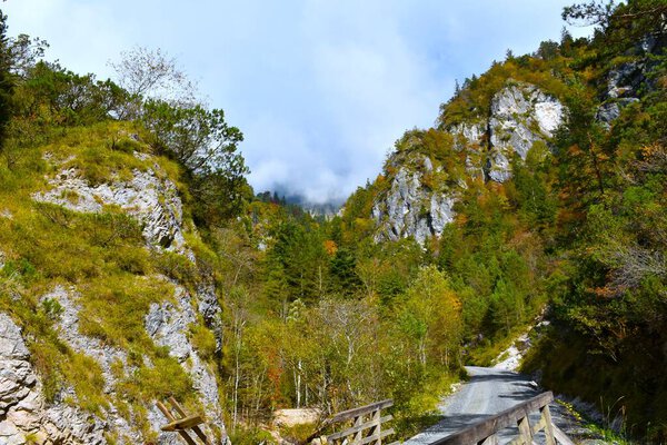 Gravel road and a cliff above in Draga valley in Karavanke, Gorenjska, Slovenia