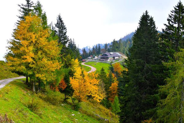 View of mountain lodge at Prevala and trees with yellow autumn foliage in Karavanke mountains, Gorenjska, Slovenia