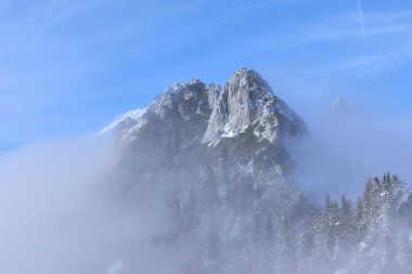 Slovenya 'nın Gorenjska kentinde Karavanke dağlarındaki Rocky Dağı zirvesi sisli