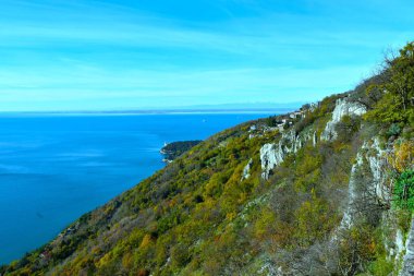 İtalya 'nın Friuli-Venezia Giulia bölgesinde Adriyatik Denizi üzerinde yeşil yapraklı orman