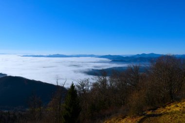 Slovenya 'nın Gorenjska kentindeki tepelerle kaplı sis manzarası
