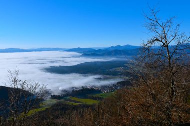 Slovenya 'nın Gorenjska kentindeki Preddvor köyünün böğürtüsüyle sis kaplandı