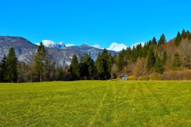 Julian Alpleri, Gorenjska, Slovenya 'da dağlık tepeleri olan yeşil alan ve orman