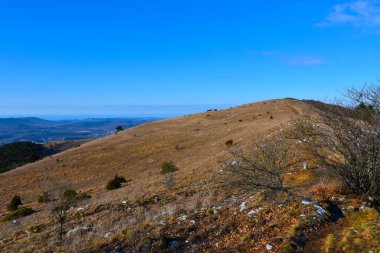 Slovenya 'daki Vremscica Tepesi' nin tepesinde çayırlık böğürüyor