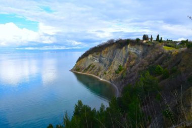Slovenya 'nın Littoral kentindeki Strunjan doğa parkındaki Adriyatik Denizi' ndeki Ay Koyu 'ndaki Flysch uçurumu