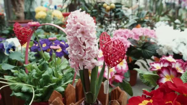 Corazón decorativo en flores multicolores — Vídeo de stock