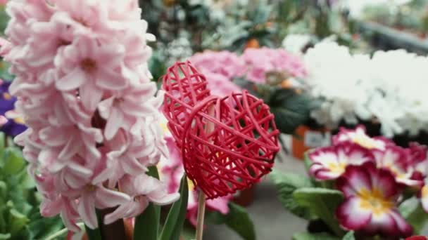 Dekorativt hjärta i flerfärgade blommor — Stockvideo