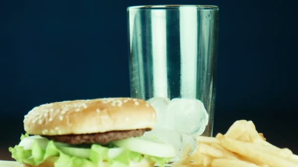 Hamburger un sandwich e patatine fritte su un vassoio — Video Stock