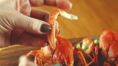 Kerevit Yeme Süreci