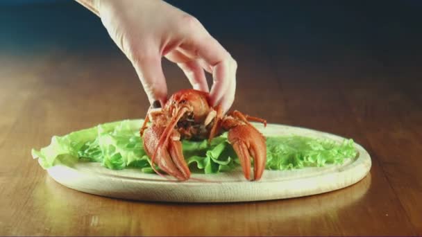 Crayfish lobsters on a tray — Stock Video