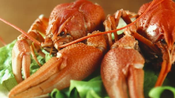 Langoustes écrevisses sur le plateau — Video