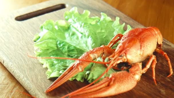 Crayfish lobsters on a tray — Stock Video