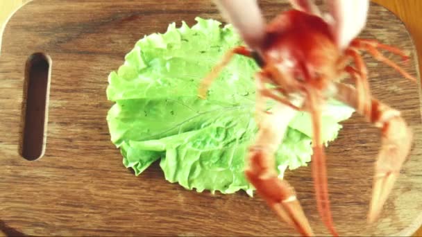 Langostas de cangrejo en una bandeja — Vídeos de Stock