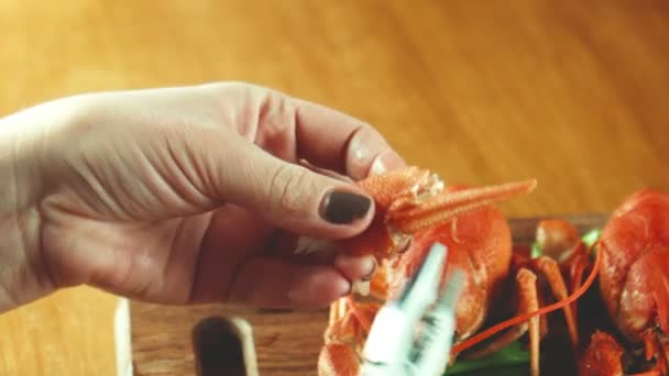 Процесс поедания раков, омаров — стоковое видео