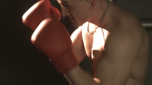 Sexy topless bodybuilder boxing in gloves — Stock Video
