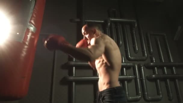 Sexy topless bodybuilder boksen in handschoenen — Stockvideo