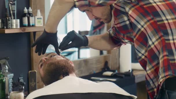 Close-up of man being groomed — Stock Video