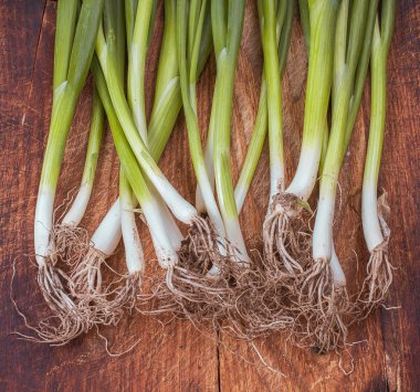 Yeşil soğan dallar üzerinde