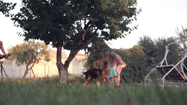 外を走っている子犬犬の地面レベルのビュー — ストック動画