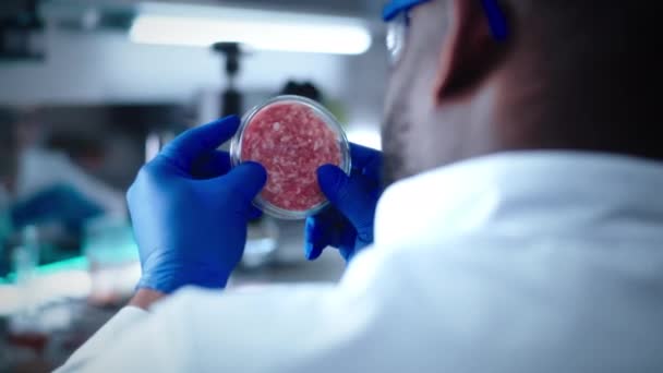 Ekin siyah bilim adamı Petri kabında eti kontrol ediyor. — Stok video