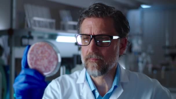 Medelålders man undersöker Petri skålen med lab odlat kött — Stockvideo