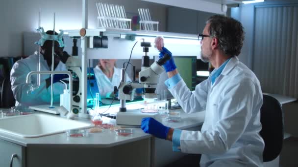 Científico de mediana edad examinando la carne celular cerca de colegas — Vídeo de stock