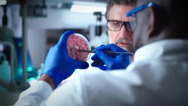 Çeşitli meslektaşlar laboratuarda yetiştirilen etleri tartışıyor. — Stok video