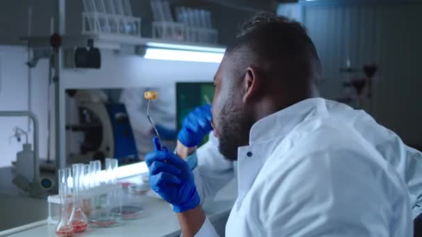 Ώριμος επιστήμονας βλέποντας μαύρο συνάδελφο τρώει κρέας με βάση τα κύτταρα — Αρχείο Βίντεο