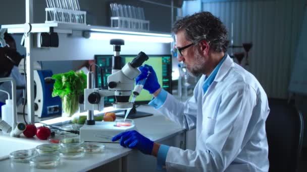Hombre maduro haciendo pruebas con vegetales en el laboratorio — Vídeo de stock