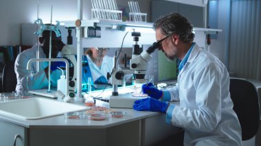Olgun bilim adamı laboratuvar etini incelemek için mikroskop kullanıyor.