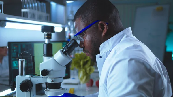 Cientista negro inspecionando tomate ao microscópio — Fotografia de Stock