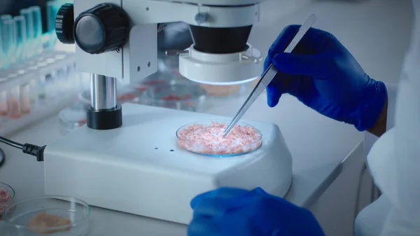 Cientista irreconhecível que examina a amostra de carne cultivada em células — Fotografia de Stock